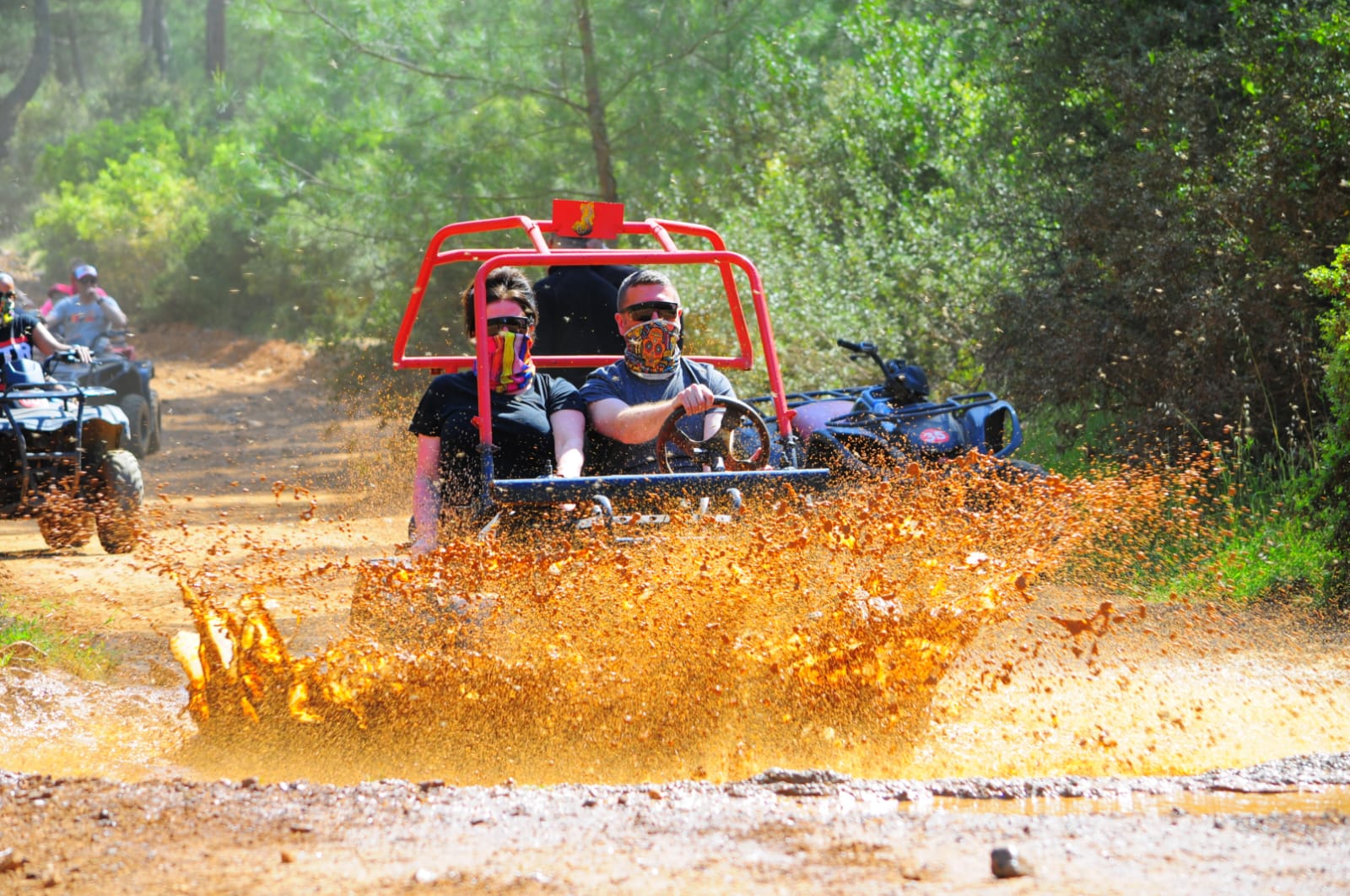 Buggy Safari